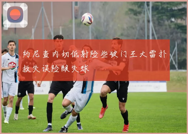 约尼查内切低射险些破门王大雷扑救失误险酿失球