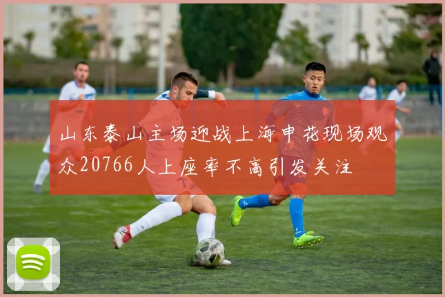 山东泰山主场迎战上海申花现场观众20766人上座率不高引发关注