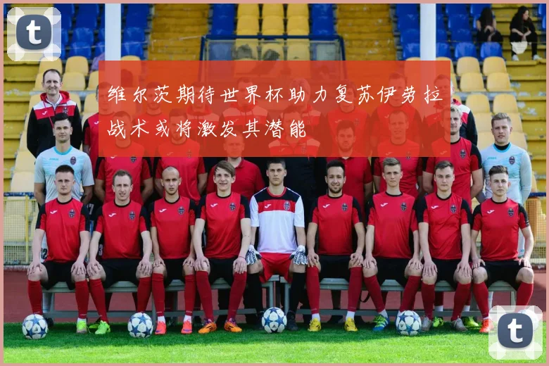 维尔茨期待世界杯助力复苏伊劳拉战术或将激发其潜能